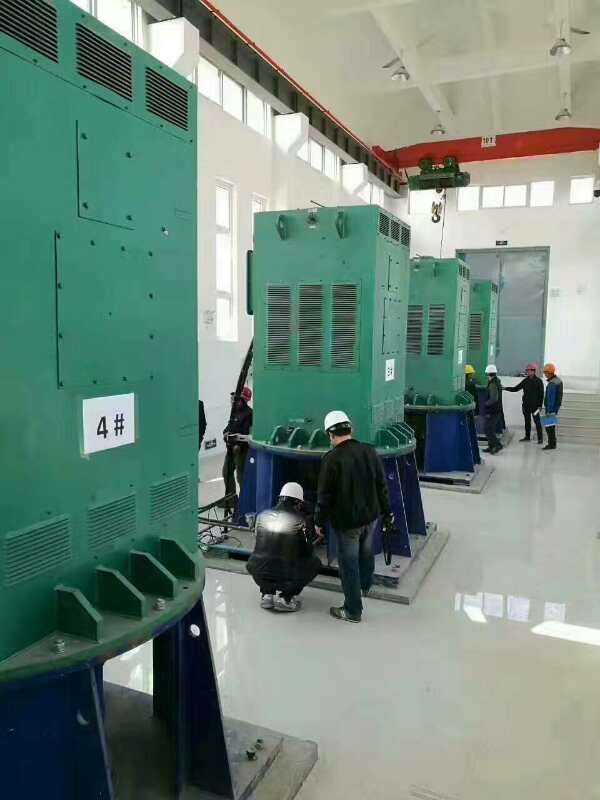 汉滨某污水处理厂使用我厂的立式高压电机安装现场